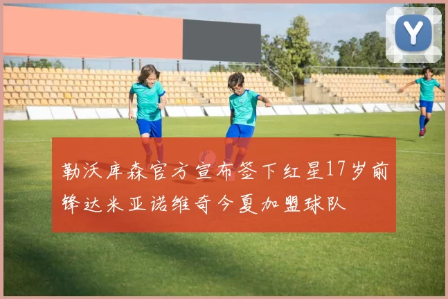 勒沃库森官方宣布签下红星17岁前锋达米亚诺维奇今夏加盟球队